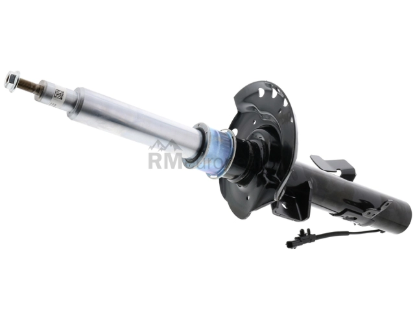 Land Rover Strut Assembly BWI LR079422