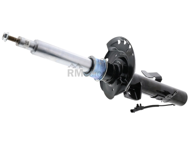 Land Rover Strut Assembly BWI LR079422