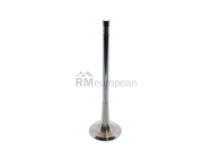 VW-Audi Exhaust Valve TRW 06D109611L