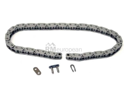 Oil Pump Chain Iwis 50037117