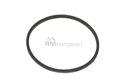 Mercedes Fuel Filter O-Ring CRP Industries 1009970040