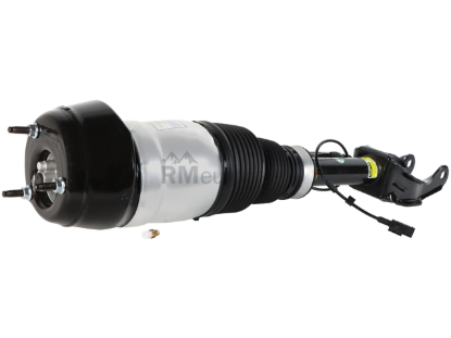 Mercedes Air Suspension Strut Arnott Industries 1663205666