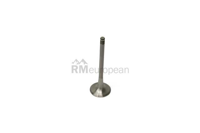 VW-Audi Exhaust Valve SM Engine Parts 077109611S