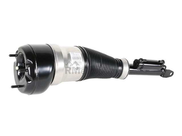 Mercedes Air Suspension Strut Bilstein B4 2223201900