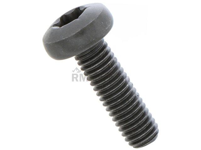 Porsche Timing Cover Bolt Genuine Porsche N10124304