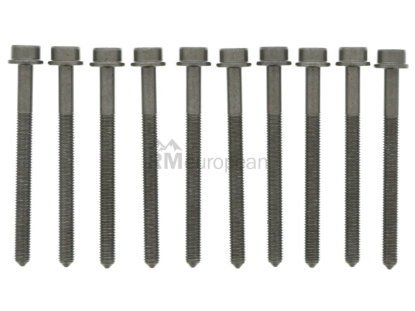 VW-Audi Cylinder Head Bolt Set Victor Reinz WHT005305B
