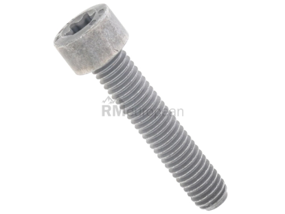 Fillister Head Screw Genuine BMW/Mini 07129905386