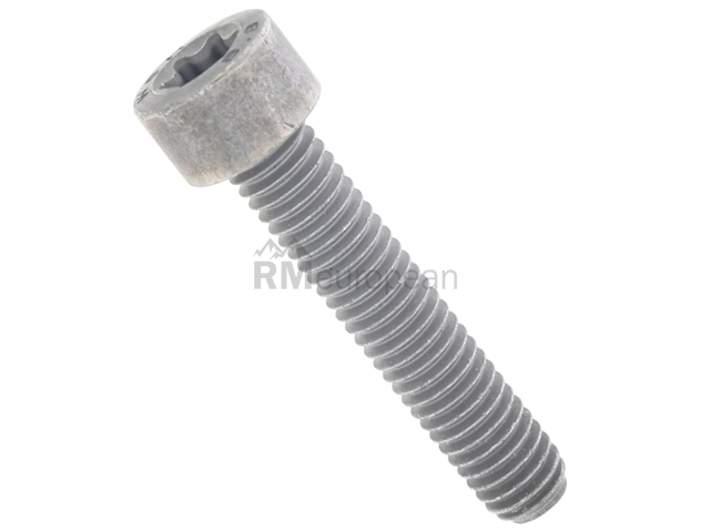 Fillister Head Screw Genuine BMW/Mini 07129905386