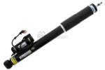 Mercedes Shock Absorber Arnott Industries 2193260400