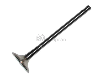 VW-Audi Exhaust Valve Intervalves 058109611M