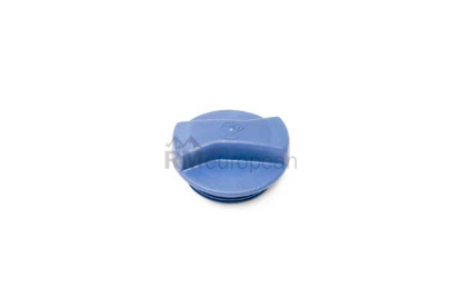 Porsche Expansion Tank Cap Rein Automotive 95510644720