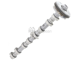 VW-Audi Camshaft Kolbenschmidt 06H109021K