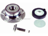 VW-Audi Wheel Bearing Kit Schaeffler 8W0598611B