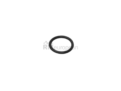 BMW O-Ring Victor Reinz 07141696931