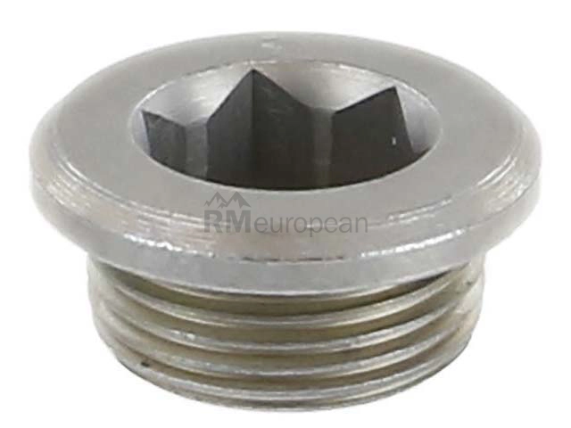 BMW Differential Drain Plug Rein Automotive 33117525064