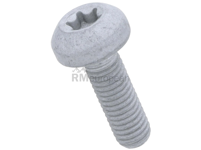 Porsche Drive Belt Tensioner Bolt Genuine Porsche N10742702