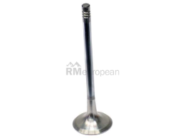 BMW Exhaust Valve Intervalves 11341433699