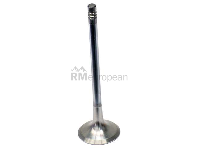 BMW Exhaust Valve Intervalves 11341433699