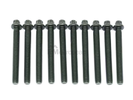 BMW Cylinder Head Bolt Set Victor Reinz 11121721939
