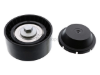 Land Rover Drive Belt Idler Pulley INA LR028879