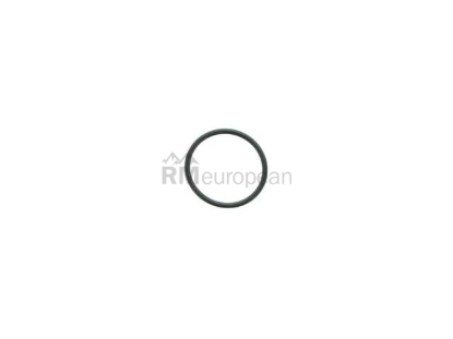 VW-Audi Camshaft Adjuster Seal Genuine VW/Audi N91020001