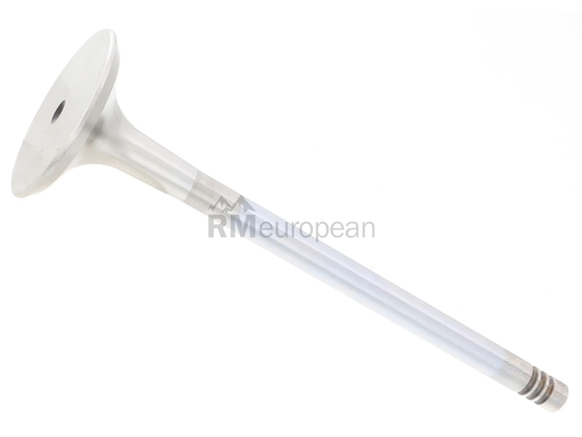 BMW Exhaust Valve TRW 11341739823