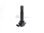 Volvo Ignition Coil Bremi / STI 8687939