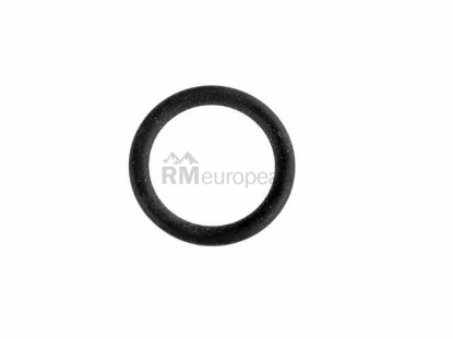 BMW O-Ring Victor Reinz 11611745195