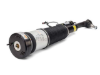 Mercedes Shock Absorber Arnott Industries 2213201738