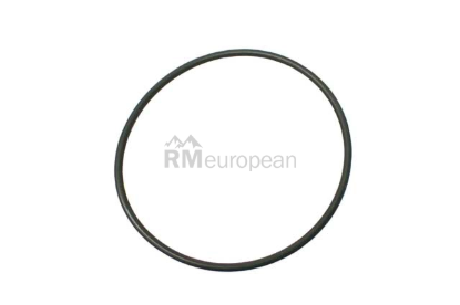 BMW Oil Filter O-Ring Victor Reinz 11421252222