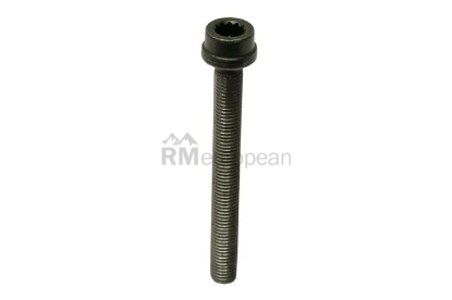 VW-Audi Cylinder Head Bolt Victor Reinz 022103384C