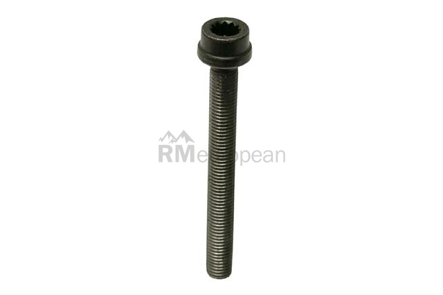 VW-Audi Cylinder Head Bolt Victor Reinz 022103384C