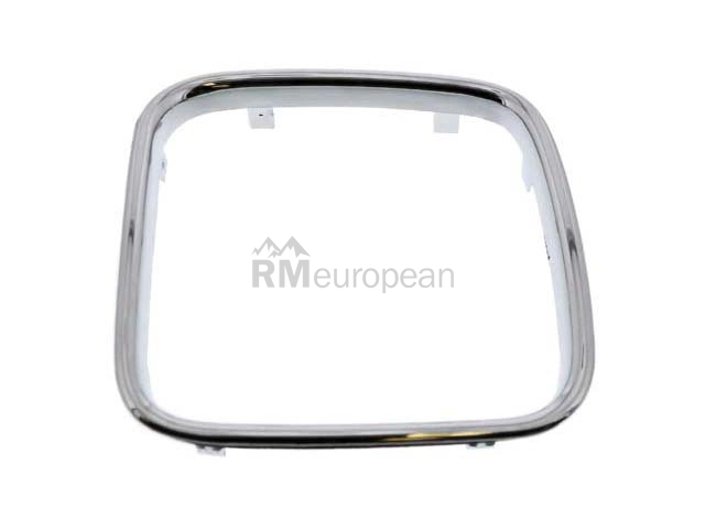 BMW Grille Trim BBR Automotive 51131973898
