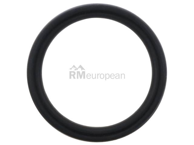 BMW O-Ring Genuine BMW 13628658854