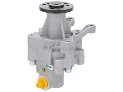 Power Steering Pump AAE 6906N