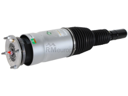 Land Rover Strut Arnott Industries LR087092