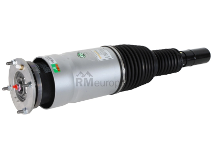 Land Rover Strut Arnott Industries LR087092