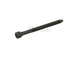 VW-Audi Cylinder Head Bolt febi bilstein 06D103385D