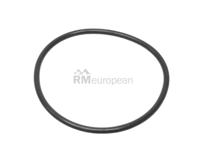 Porsche Sealing Ring Genuine Porsche 99720173300