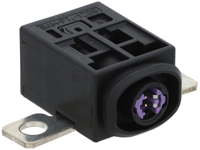 VW-Audi Overload Protection Fuse Bapmic 4F0915519A