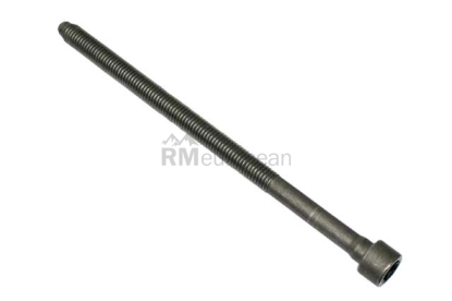 VW-Audi Cylinder Head Bolt Victor Reinz 06E103385