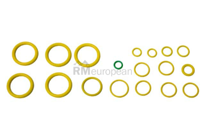 Volvo A/C O-Ring Kit Santech 307598128