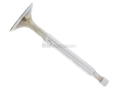 Porsche Intake Valve German 61610540100