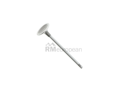 Mini Intake Valve TRW 11347587470