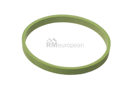 VW-Audi Intake Manifold Gasket Elring Klinger 079129717D
