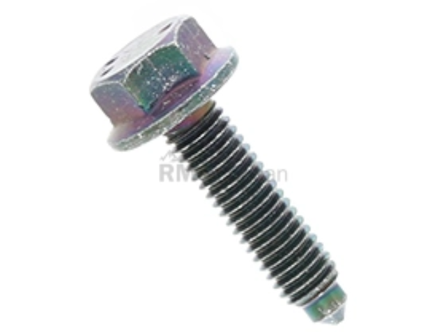 BMW Engine Oil Pan Bolt Genuine BMW 11131740000