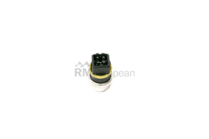 VW-Audi Temperature Switch Rein Automotive 6U0919501B