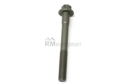 Porsche Camshaft Adjuster Bolt Genuine Porsche 94810525400