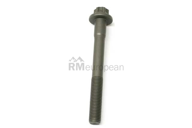 Porsche Camshaft Adjuster Bolt Genuine Porsche 94810525400