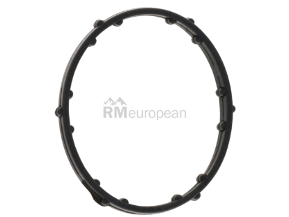 VW-Audi Thermostat Gasket Victor Reinz 06E121119G